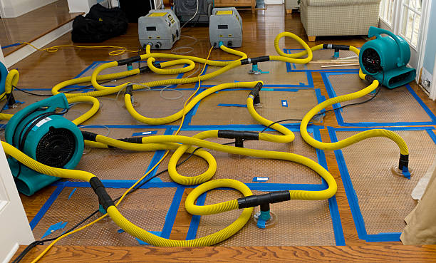Professional Water Damage Restoration technician working in Liberty Lake, WA